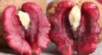 Livermore Kabuklu Kırmızı Kuru Ceviz 5kg (Kutu) - Görsel 5