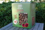 Livermore Kabuklu Kırmızı Kuru Ceviz 5kg (Kutu)